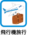 icon10b